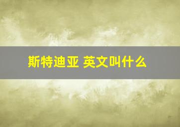 斯特迪亚 英文叫什么